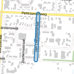 van Leeuwenstraat