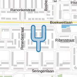 Anjerstraat
