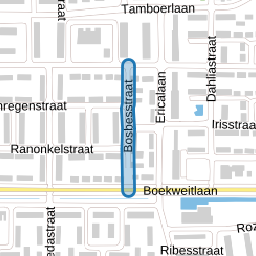 Bosbesstraat
