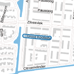Groot Koolwitje