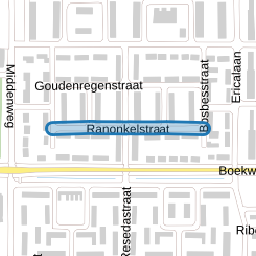 Ranonkelstraat