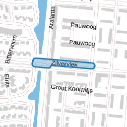 Zilvervlek