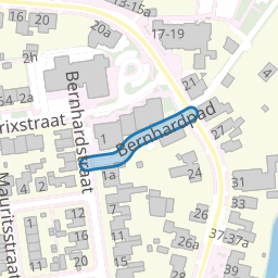 Bernhardpad