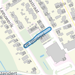 De IJsvogel