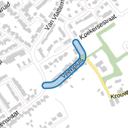 Veenpluis