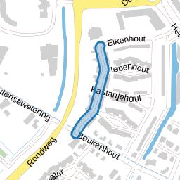 Dennenhout