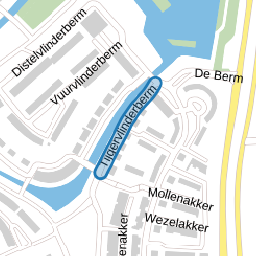 Tijgervlinderberm