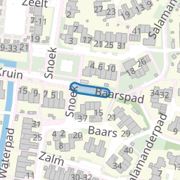 Baarspad