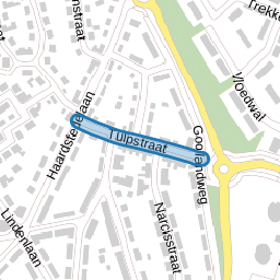 Tulpstraat