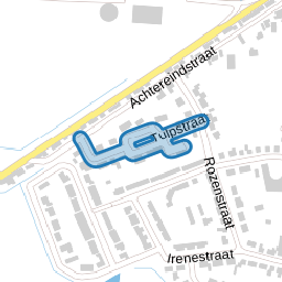 Tulpstraat