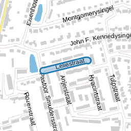 Leliestraat