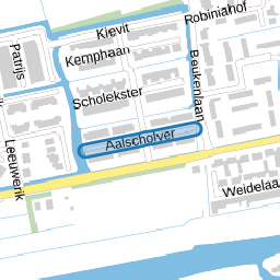 Aalscholver