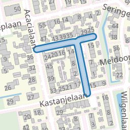 Lindenlaan