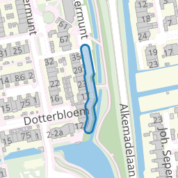 Pijlkruid