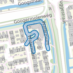 Watermunt