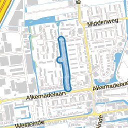 Chrysantsingel