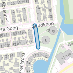 Goudknop