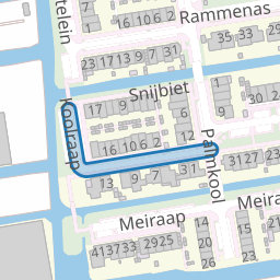 Koolraap