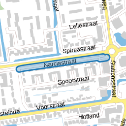 Narcisstraat