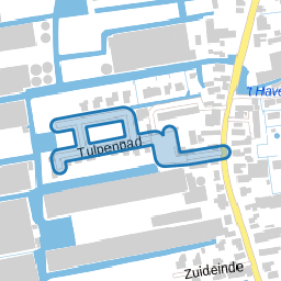 Tulpenpad
