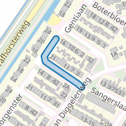 Korenbloem