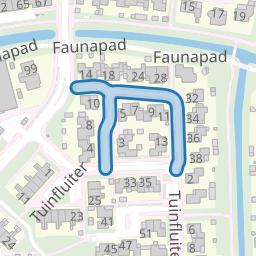 Ringmus