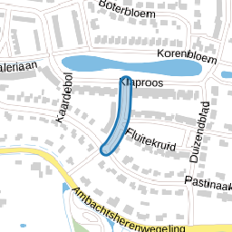 Havikskruid