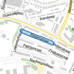 Reigerstraat