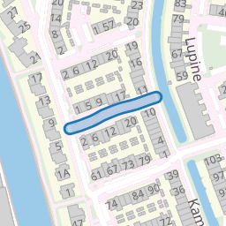 Ridderspoor