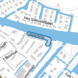Waterlelie