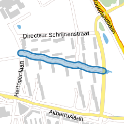 Directeur Evertsstraat