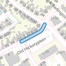 Old Hickoryplein