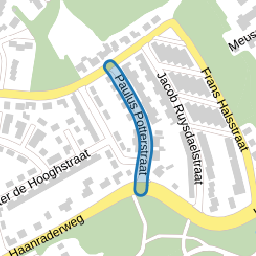 Paulus Potterstraat