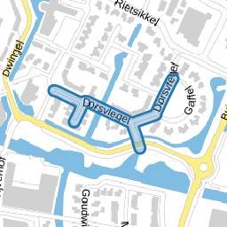 Dorsvlegel