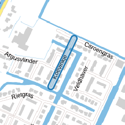 Koevinkje