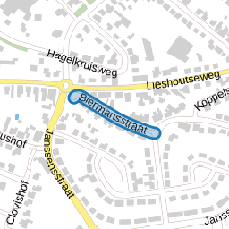 Biermansstraat