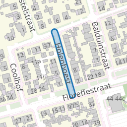 Holenboest