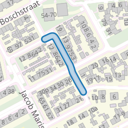 Anthonie van Dijckstraat