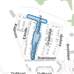 Havikskruid