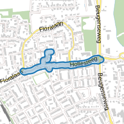 Hollesteeg