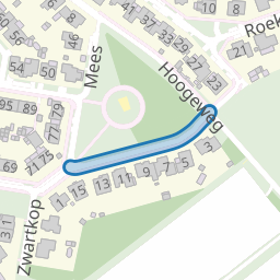 Roodborst