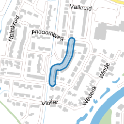 Molenbloem