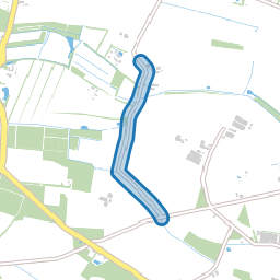 Grote Dorshees