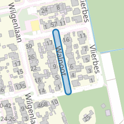 Walnoot