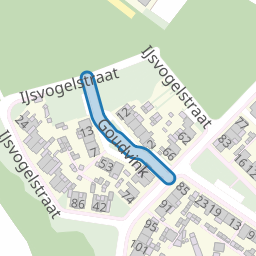 Goudvink