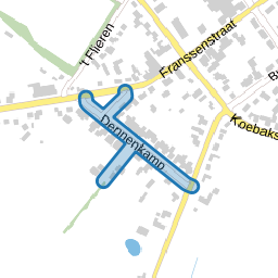 Dennenkamp