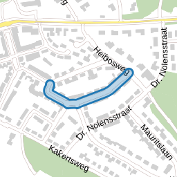 Dr. Schaepmanstraat