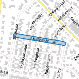 Kruisweide