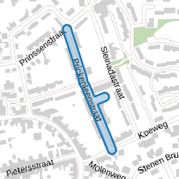 Prickenleenstraat