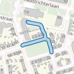 Rector ter Meerstraat
